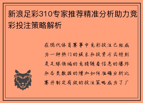 新浪足彩310专家推荐精准分析助力竞彩投注策略解析